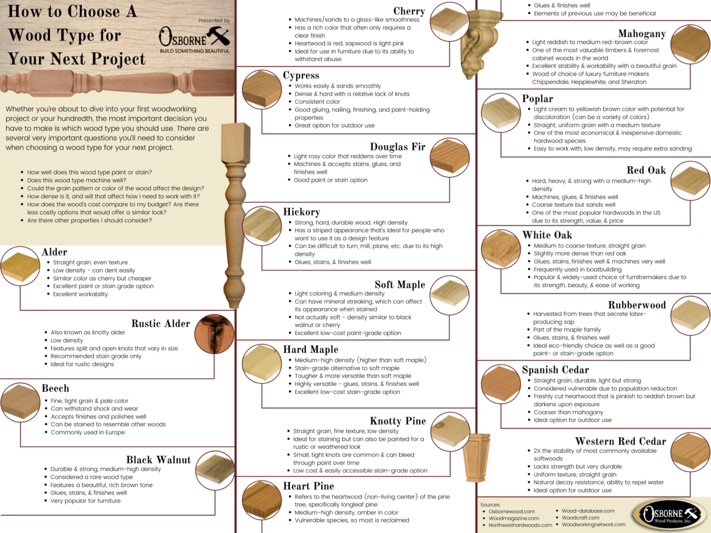How to Choose A Wood Type for Your Next Project infographic 2