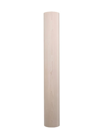 Massive Round Island Leg
